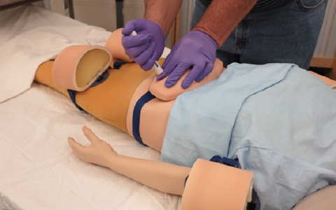 Design and Human Factors Image