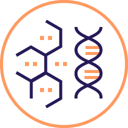 Rapid molecular analysis
