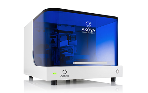 Diagnostics Image